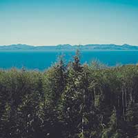 ddos在线攻击平台