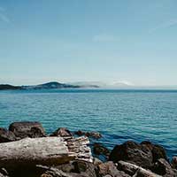 谁有资源分享的在线DDOS压力测试网页端