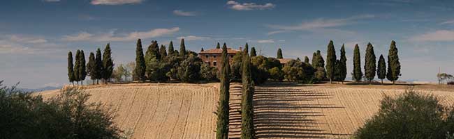 个性化定制的ddos工具下载