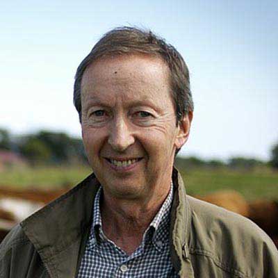 cc攻击免费网页版